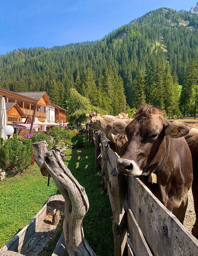 Alpin Natur Hotel Brueckele Braies  Exteriér fotografie