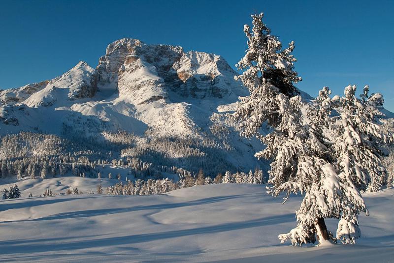 Alpin Natur Hotel Brueckele Braies  Exteriér fotografie